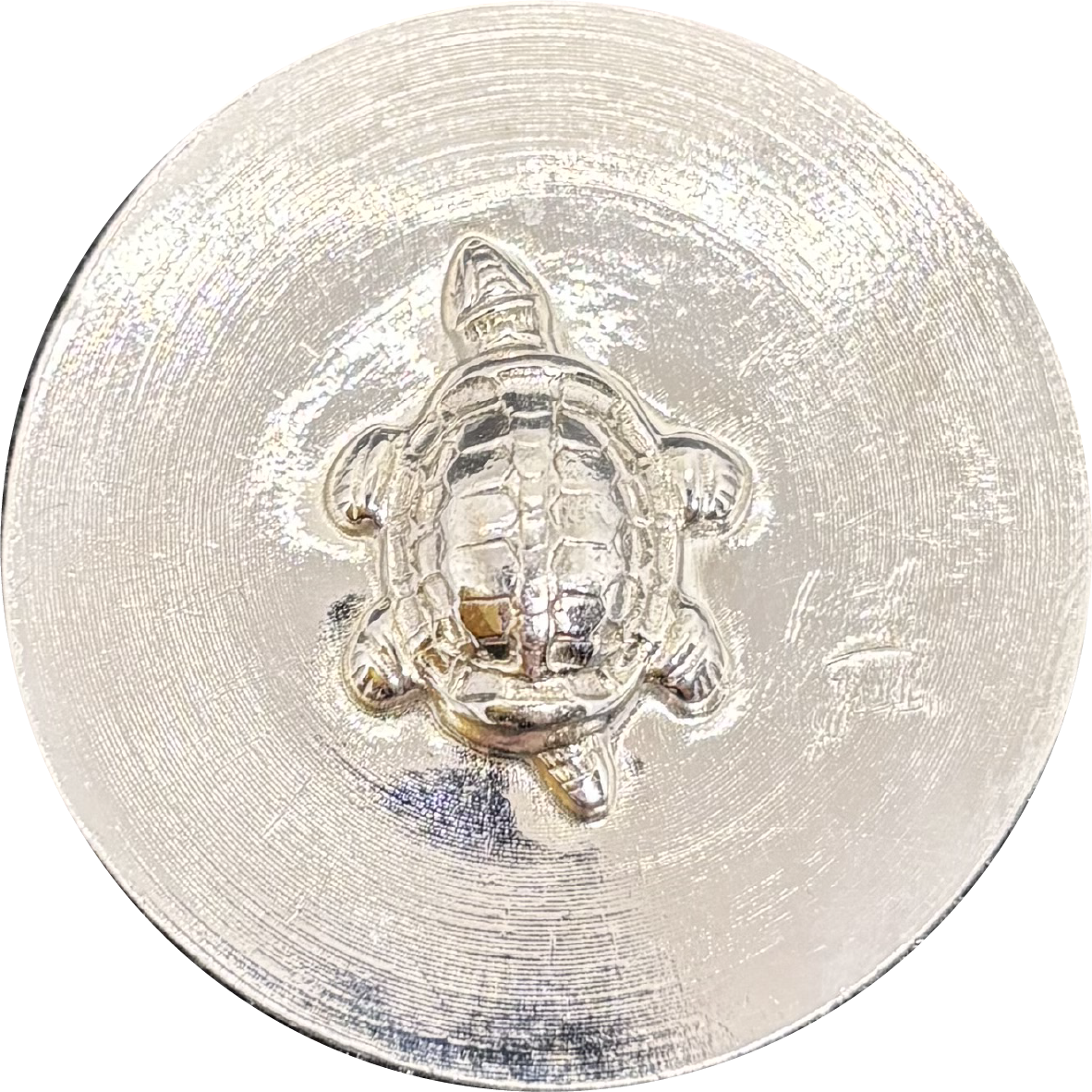 TURTLE THINMINT HALF TROY OUNCE 999 FINE SILVER – Hayleybug Mint